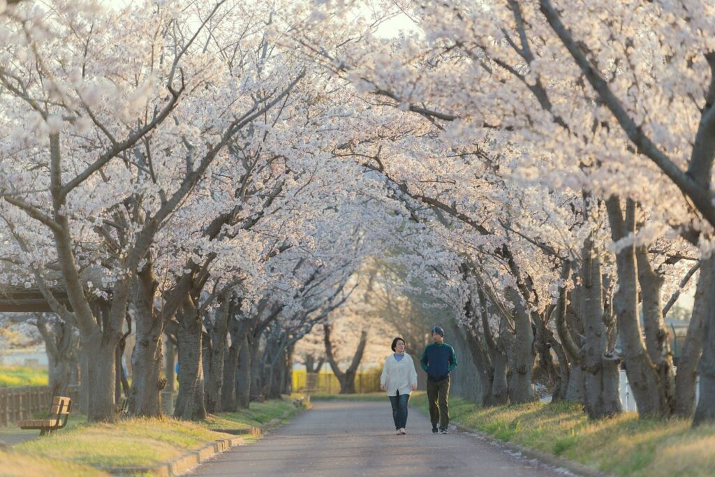 夫婦が木々に囲まれた道を散歩するシーン