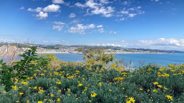 日本の「江の島」という島