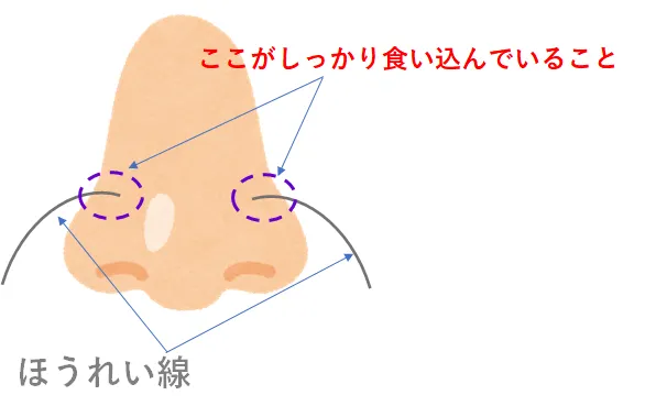 鼻とほうれい線を描いたイラスト