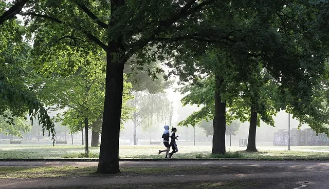 午前中のさわやかな空気の漂う公園