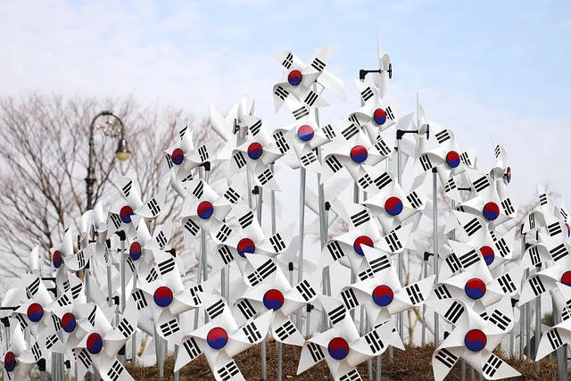 たくさんの韓国国旗