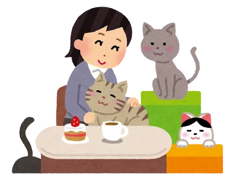 猫カフェで猫と遊ぶ女性