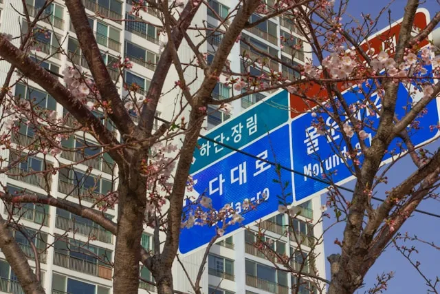 韓国の標識