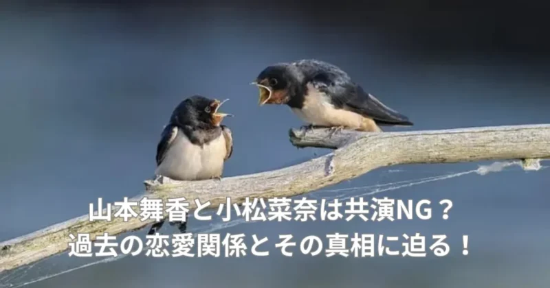 山本舞香と小松奈菜の共演ngの真相をイメージした画像